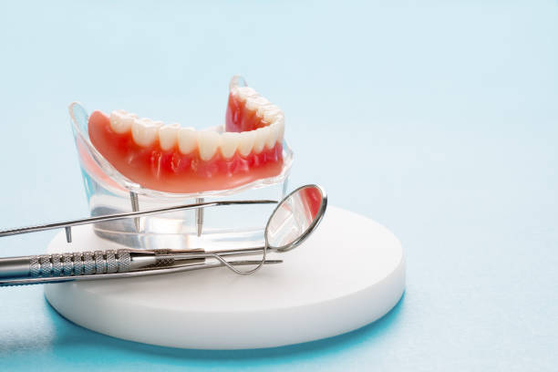 Best Dental Exams and Cleanings  in Defiance, OH